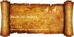 Andris Anett névjegykártya